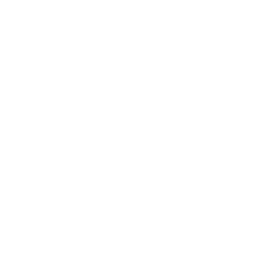 Icon Linkedin